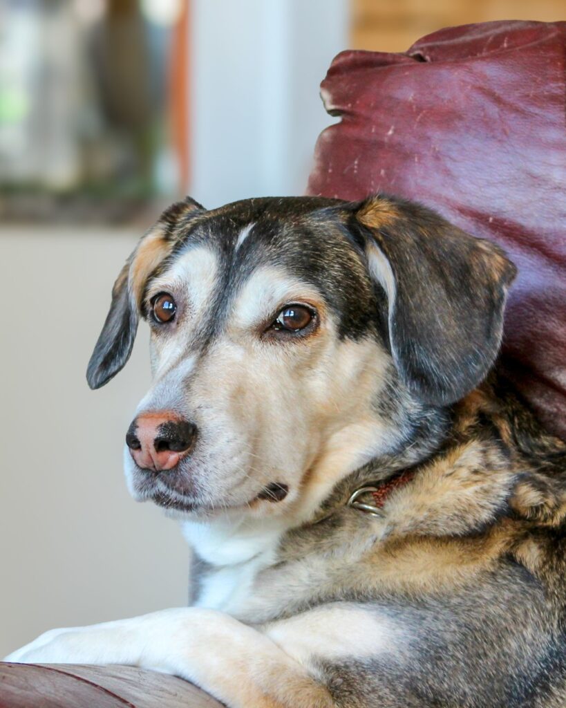 Kira