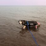 Fauteuil roulant Kira Gaspésie