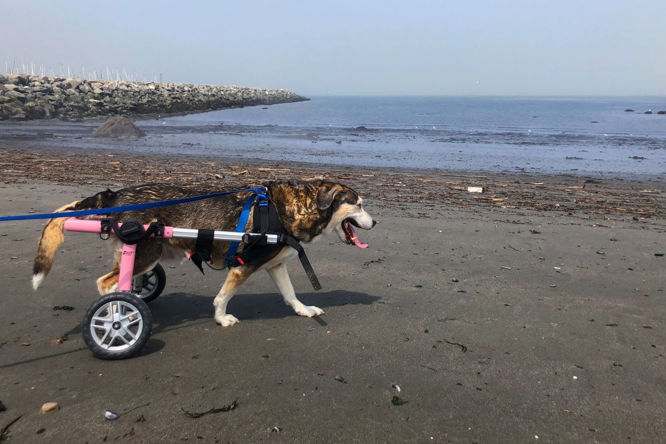 Fauteuil roulant Kira pap Fauteuil roulant Kira pap