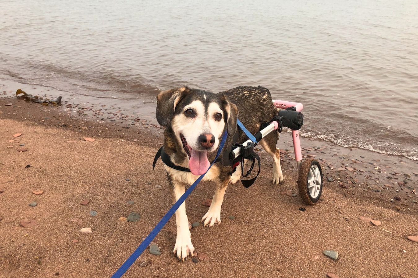 Fauteuil roulant Kira plage Fauteuil roulant Kira plage