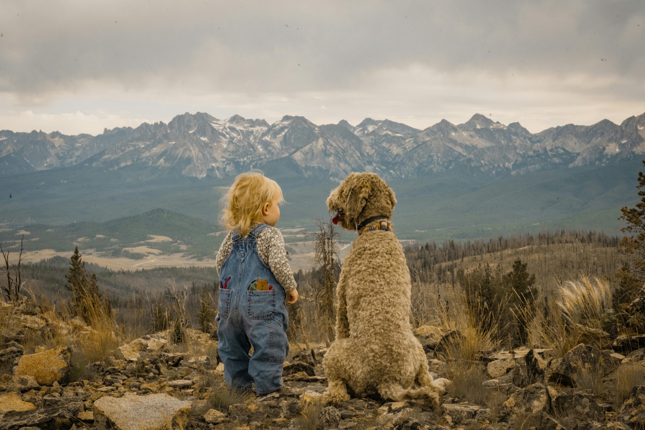 un enfant et un chien face à la montagne profitant du moment