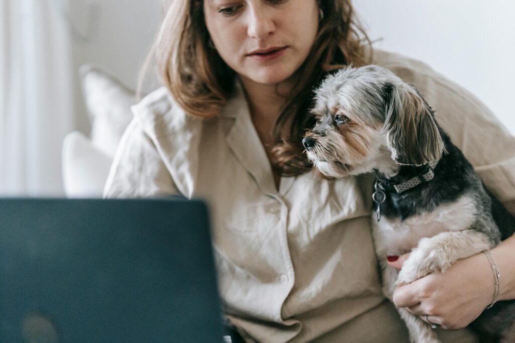 pexels-photo-7282635-7282635 Woman with Morkie dog working from home on laptop. Cozy and productive setting.