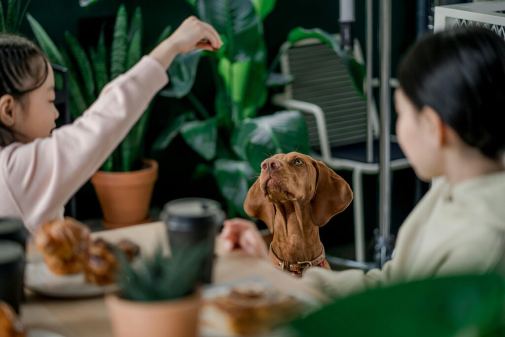 Young girls feeding a dog at home, surrounded by green plants. Cozy indoor setting with natural light.